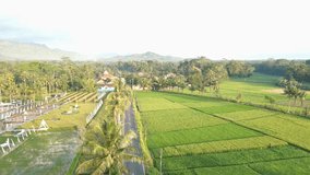 Aerial view and Drone footage, Indonesian rice fields around Borobudur Temple, drone video of  rice fields side by side tourist attractions.