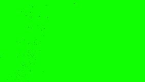 Green screen. A flock of black crows flies in a narrow stripe from the lower left corner to the upper right