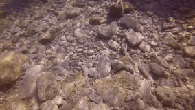 Large stones cover seabed in coastal area on bright sunny day in sun glare, Slow motion. Underwater landscape of Mediterranean Sea, Greece