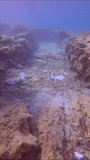 Vertical video, Camera moving forwards between two rocky reefs above seabed polluted with plastic trash and other debris on blue water background, fishes swimming nearby, Mediterranean Sea