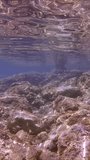 Vertical video, Camera moving forwards above seabed with large rocks covered with algae in coastal area on bright sunny day, Slow motion. Underwater seascape of Mediterranean Sea