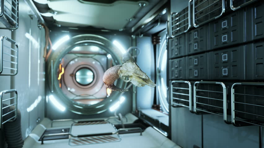 skull of dead ram in international space station