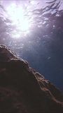 Vertical video, Marine waves crashing on coastal rock reef on bright sunrays. Seascape with sunbeams penetrating through sea waves near coastal cliff, Underwater shot