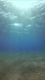 Vertical video, Bright sun rays penetrate surface of blue water, sun glare fall on sandy bottom, Underwater shot, Slow motion, Camera moving forwards