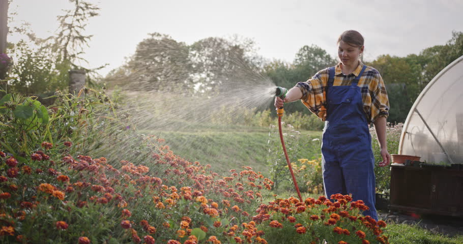 Young Woman Watering Garden Flowers Near Greenhouse