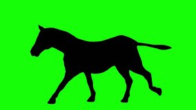 A silhouette of a zebra running on green screen, side view. Animal silhouettes, seamless loop 3D animation. You can easily remove the green screen with just one click using any video editor.