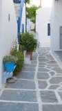 Walking with steadycam in picturesque narrow street with traditional whitewashed houses with blooming bougainvillea flowers of Naousa town in famous tourist attraction Paros island, Greece