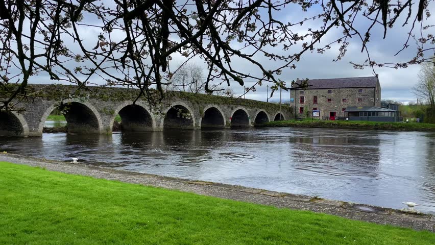 Bridge and Old Mill on The River Barrow at Goresbridge Co. Kilkenny on a spring morning
