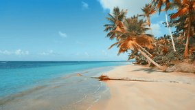 Palms on the golden sand of the Mexican sea beach. Blue lagoon and beautiful sandy coast. Tropical nature landscape. Atlantic coastline. Caribbean palm beach. Summer holidays. The video is tinted.