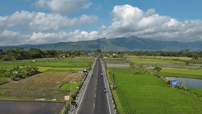 Indonesian rice fields with mountains in the background, Aerial video of Indonesian rice fields