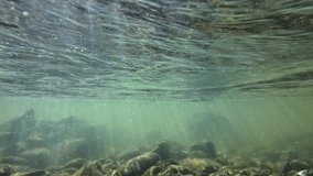 Underwater video of a stream with stones and sunbeams in flowing water