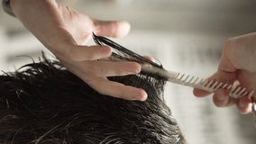 Vertical video: Stylish man sitting barbershop hairdresser woman cutting hair portrait handsome happy young bearded caucasian guy getting trendy haircut attractive hairdresser girl working