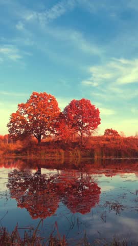 Time lapse of an autumn landscape, forest and sky reflected in water, nature.