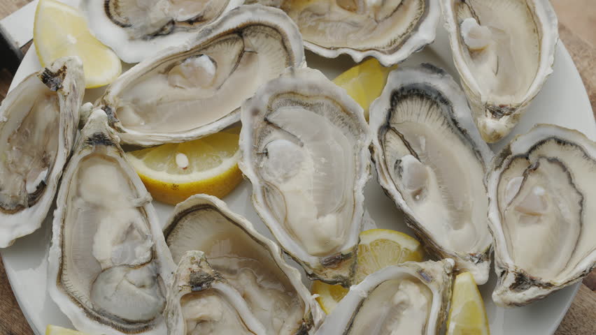 Fresh raw edible oysters, popular shellfish seafood close-up. Mollusk marine oysters. Royalty-Free Stock Footage #3478129555