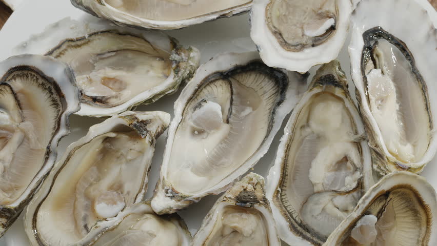 Fresh raw edible oysters, popular shellfish seafood close-up. Mollusk marine oysters. Royalty-Free Stock Footage #3478131099