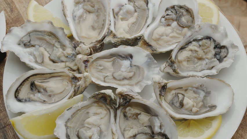 Fresh raw edible oysters, popular shellfish seafood close-up. Mollusk marine oysters. Royalty-Free Stock Footage #3478133647