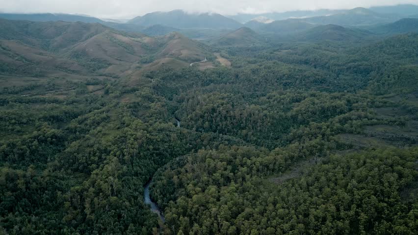 Meandering Stream In Dense Thickets At Franklin-Gordon Wild Rivers National Park In Tasmania, Australia. Aerial Shot
