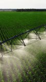 Vertical video, drone aerial view of rain cannon irrigation system on agricultural soybean field helps grow plants in dry season, improves crop yield
