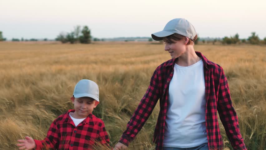 Farmer mother with little kid walks in rural wheat field. Mother with son holds hands strolling across wheat field during holiday. Mother and son explores beauty of wheat field with hands intertwined Royalty-Free Stock Footage #3478369255