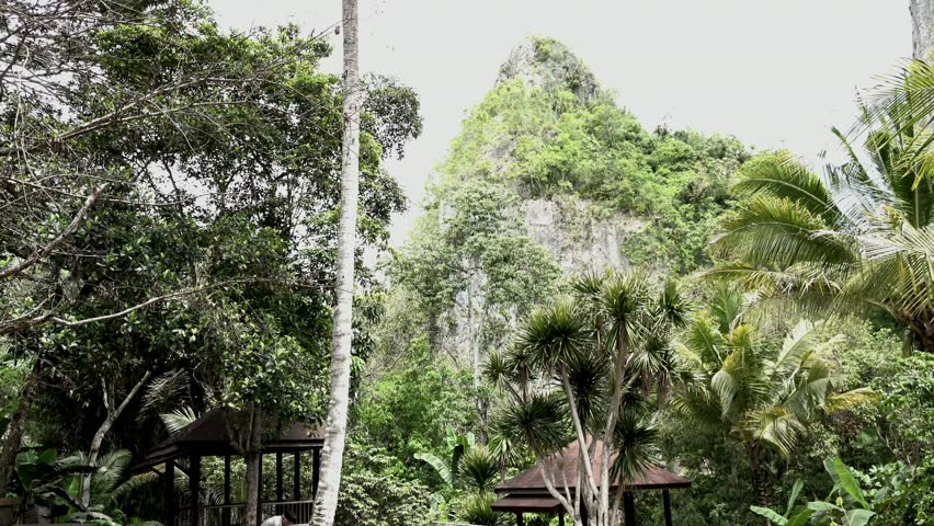 Behind the trees and small houses there is a stone mountain covered with small trees with a backdrop of white clouds