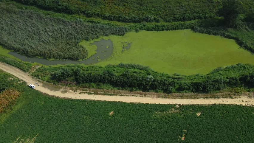 Drone capture a pond surrounded by green fields
