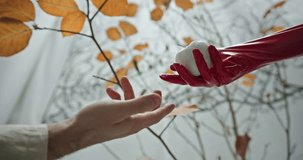 Symbolic Exchange of White Apple - Trust and Innocence Concept - Powered by Shutterstock - Get 15% off with code: PIKWIZARD15
