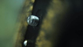 Macro shot of a tripod plate close up, camera gear, silver screw, crane movement, 120fps slow motion, Full HD