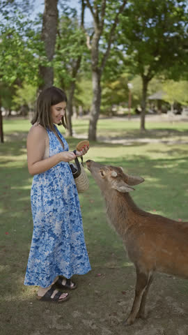 Cheerful, beautiful hispanic woman joyfully feeding cute deer with snack crackers at the popular nara park in japan, delighting in the unique culture and wildlife attraction outdoors!
