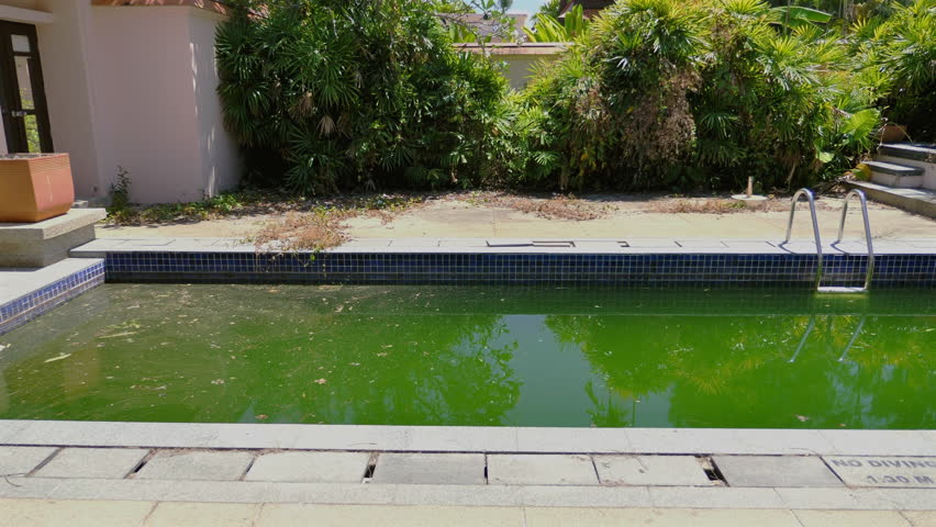 Swimming pool with stagnant green water indicates lack of maintenance and possible breeding ground for mosquitoes. Home pool care and cleaning.