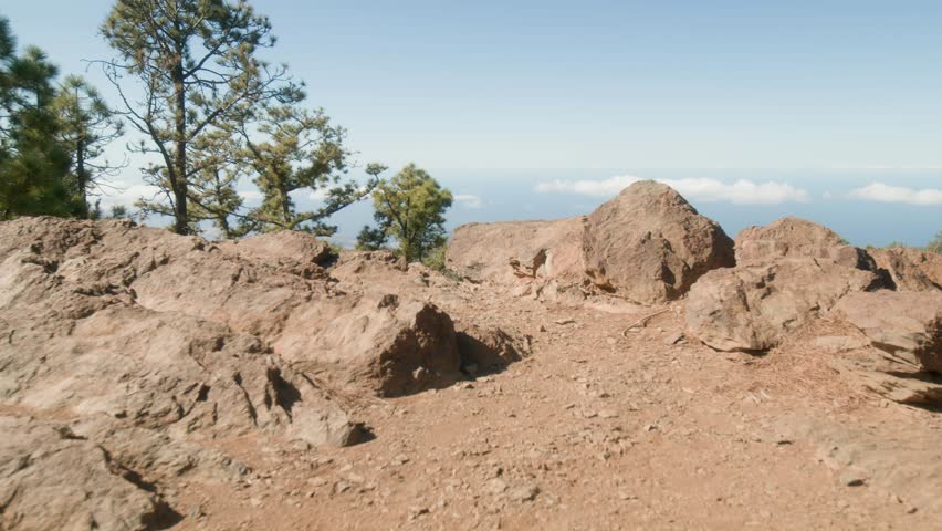 Southern Tenerife landscape with pine forest seen from rocky lookout in spring, Canary Islands, Spain