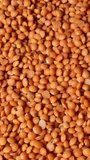 Slow motion of beautiful peeled, natural dried lentils rotating on a plate. Close-up of red lentils. Organic orange coloured seeds, healthy lifestyle, high protein product concept with copy space.