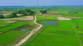 Exploring the Beauty of Village Road from Above Bangladesh