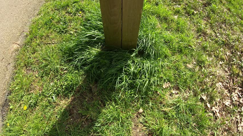 Wooden post on path with hiking and cycling signs in Hoge Kempen national park, hiker and green trees in background, sunny spring day in As, Limburg, Belgium. Shot with camera tilted upwards