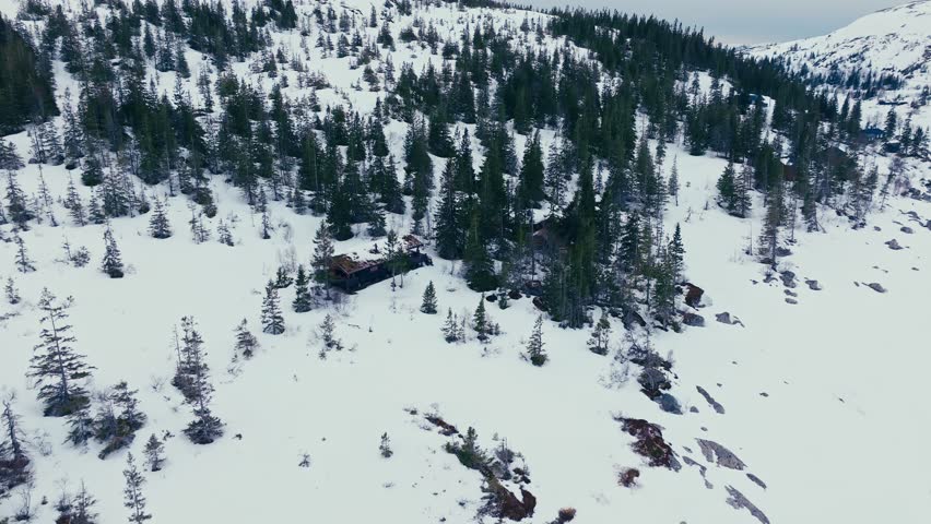Wooden Cabin In The Mountain With Pine Tree Forest At Winter. - aerial shot