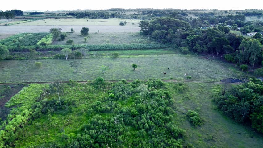 Aerial View Of A Crop Fields In Paraguay Video. Green Landcape.