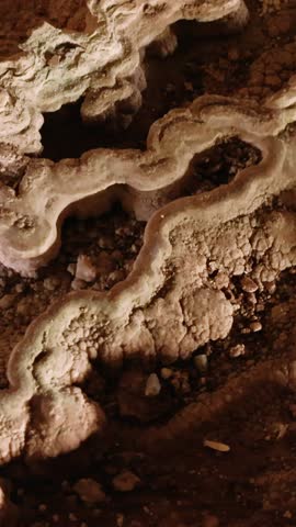 Discover underground cave with vibrant stalagmites. Formation, limestone in unique scenery. Captivating view of formation, limestone and textures. Ancient formation, limestone captured