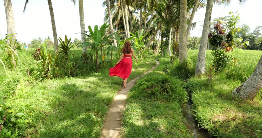 Young woman run at alley in rice fields, palm trees along way, slow motion follow camera. Long skirt of red dress fly in air, lush green grass and rice fields around, sunny hot weather at Bali Island