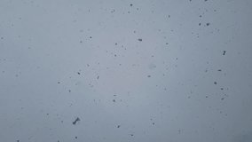 Slow motion snowfall, Slow motion snowfall on blue sky background.  - Powered by Shutterstock - Get 15% off with code: PIKWIZARD15