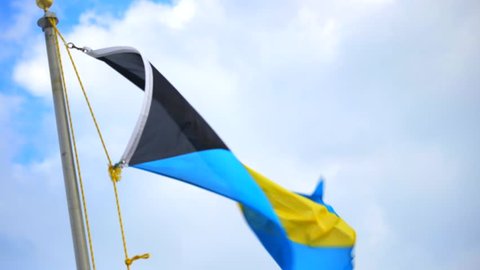 Flag of the Bahamas blowing in the wind