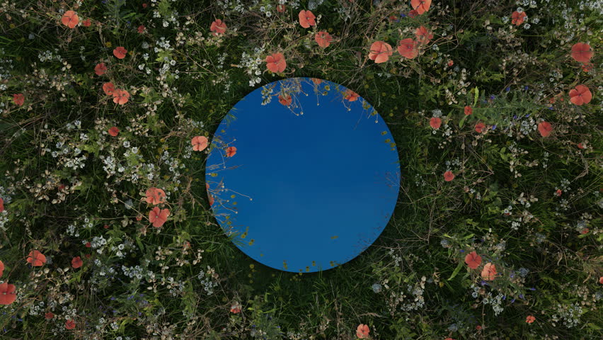 Circular mirror reflecting moving white cloud surrounded by spring meadow flowers