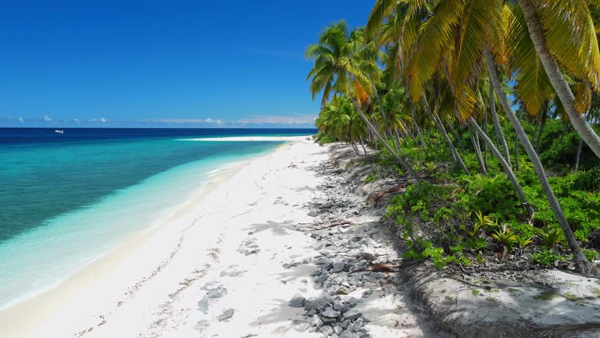 Maldives island with tropical beach with palm trees and blue ocean. Aerial view
