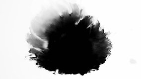 Ink grunge background. Surreal universe. Black glitter liquid splash with spreading copy space on white. - Powered by Shutterstock - Get 15% off with code: PIKWIZARD15