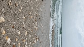 Close-up low angle view of small shells lying on sandy beach in a cloudy day on tourist resort. Sea wave moves towards camera. Real time handheld vertical video. Soft focus. Sea travel theme.