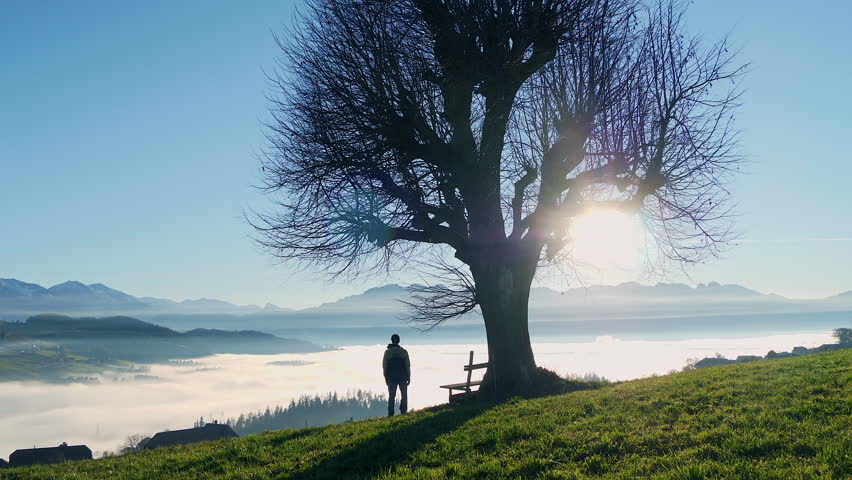 Man under tree on hill, overlooking foggy lake in natural landscape
