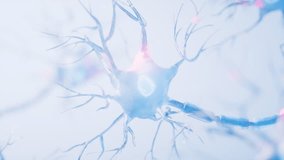 Biology nerve cell with biomedicine concept, 3d rendering. Motion graphic. - Powered by Shutterstock - Get 15% off with code: PIKWIZARD15