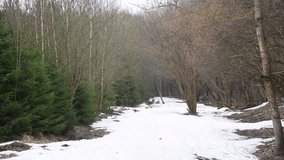 Moving forward in early spring forest between evergreen and decidious trees. Footpath covered with white snow. Real time handheld video. Beauty in nature theme.