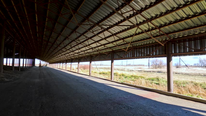Mountain of sunflower seeds in the hangar. Harvesting and storage of sunflower seeds. Agricultural industry