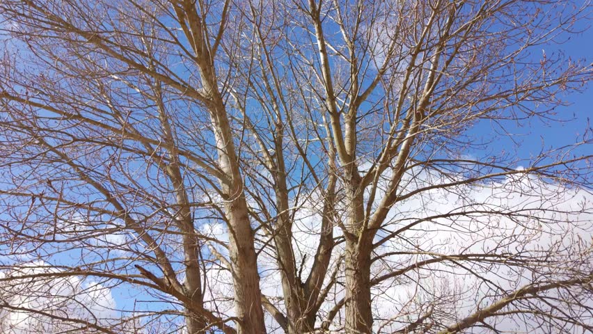 Rise in the water level in the lakes of central Spain due to heavy rains, Segovia