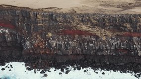 Drone video from a cliff with many birds in Iceland