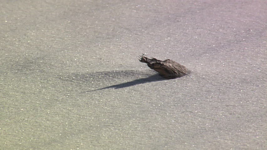 Daylight moon setting behind blue color hills